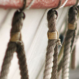 考试系统工具的ddos攻击器安卓ios下载